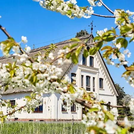 Cityappartement Am Kirschberg Weimar  Exterior foto