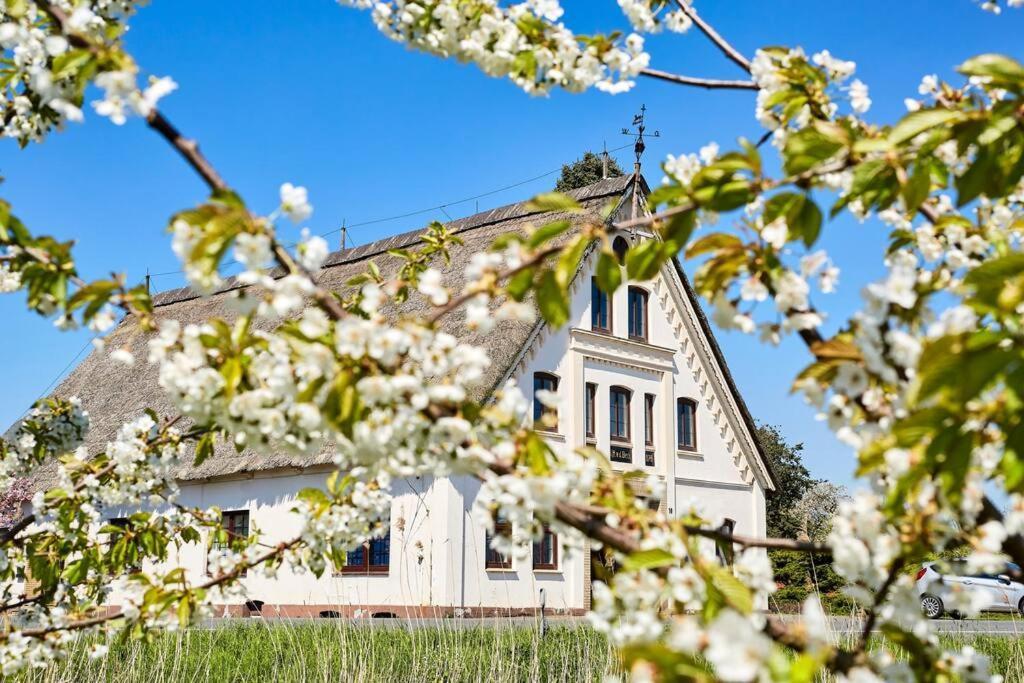 Cityappartement Am Kirschberg *